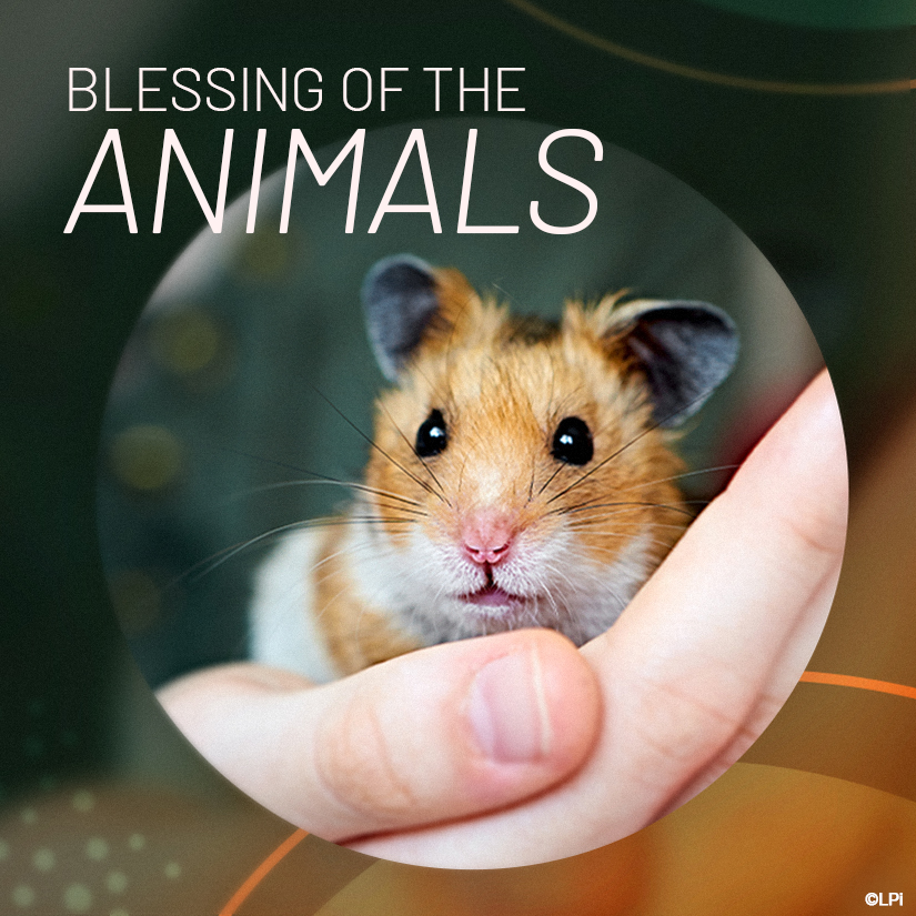 Blessing of the Animals