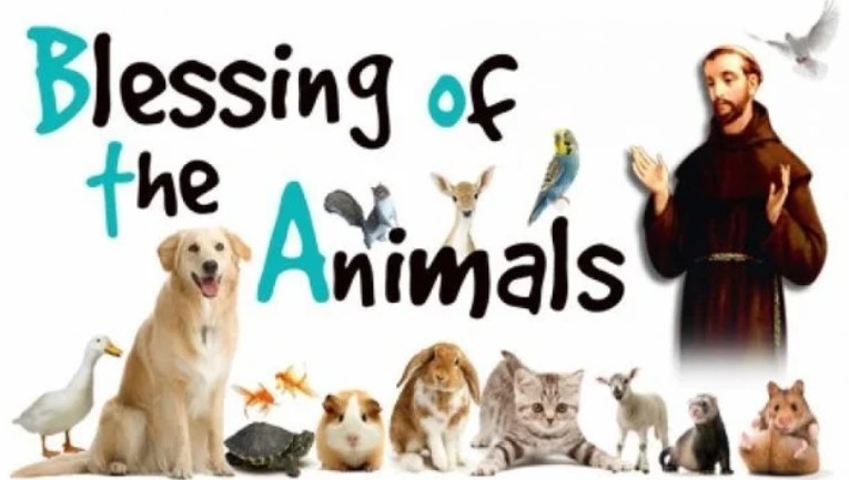 Blessing of the Animals