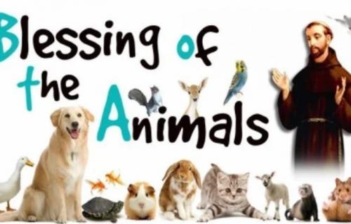 Blessing of the Animals